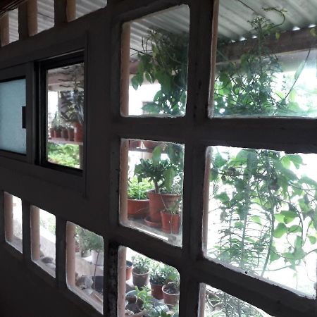 Hostel La Cruz Del Sur La Paloma Eksteriør bilde