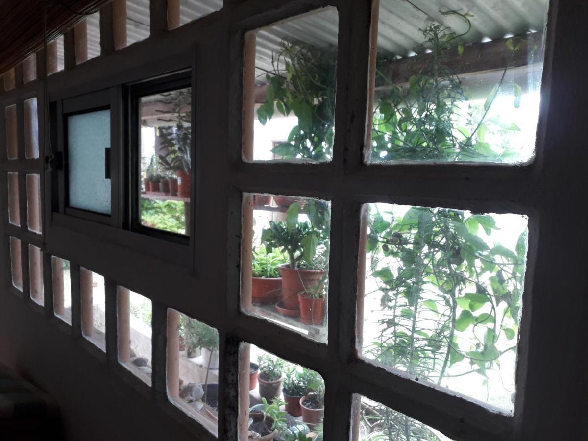 Hostel La Cruz Del Sur La Paloma Eksteriør bilde