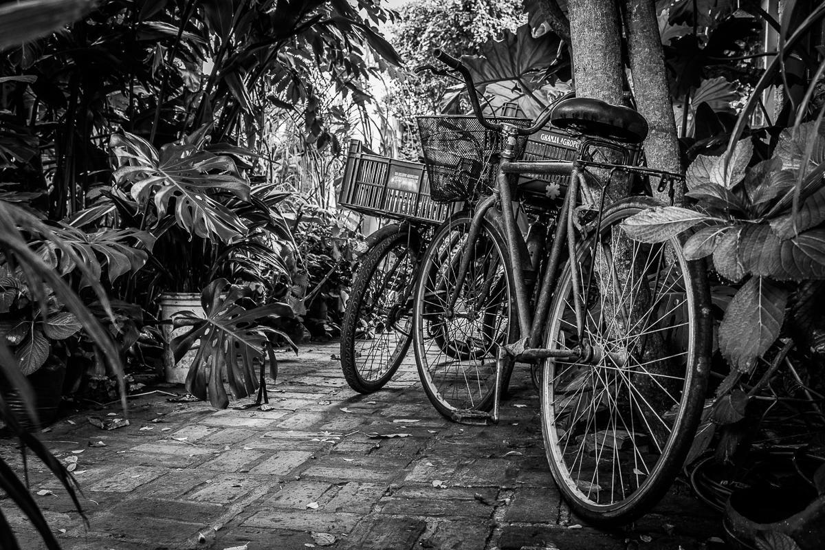 Hostel La Cruz Del Sur La Paloma Eksteriør bilde