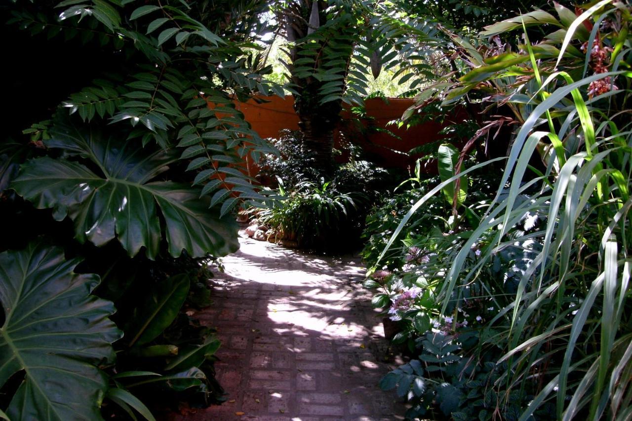 Hostel La Cruz Del Sur La Paloma Eksteriør bilde